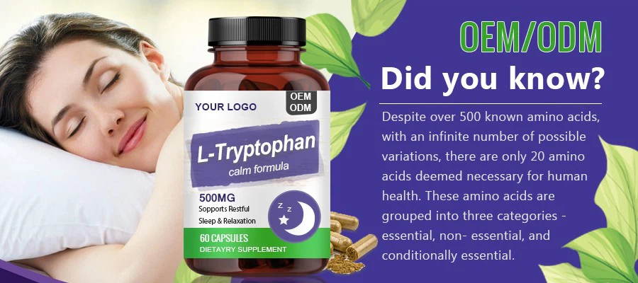 L-Tryptophan Capsules GMP factory L-Tryptophan Capsules GMP factory