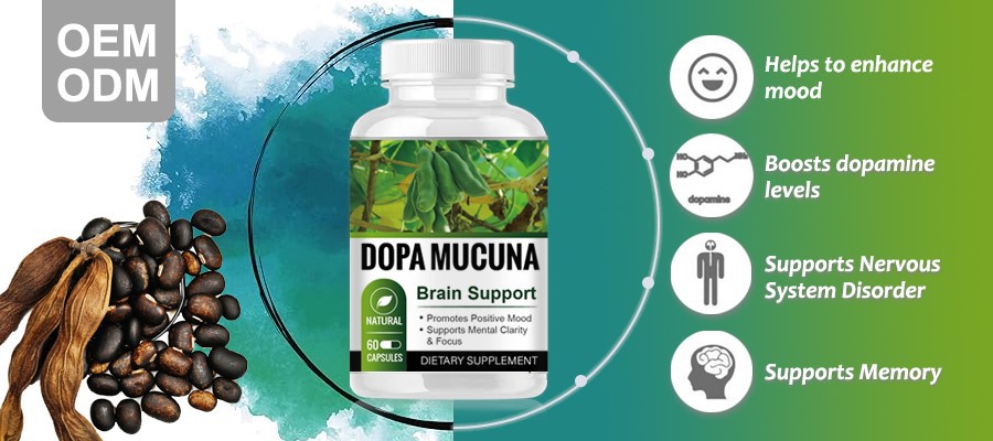 Dopa Mucuna Brain Support3 Dopa Mucuna Brain Support3
