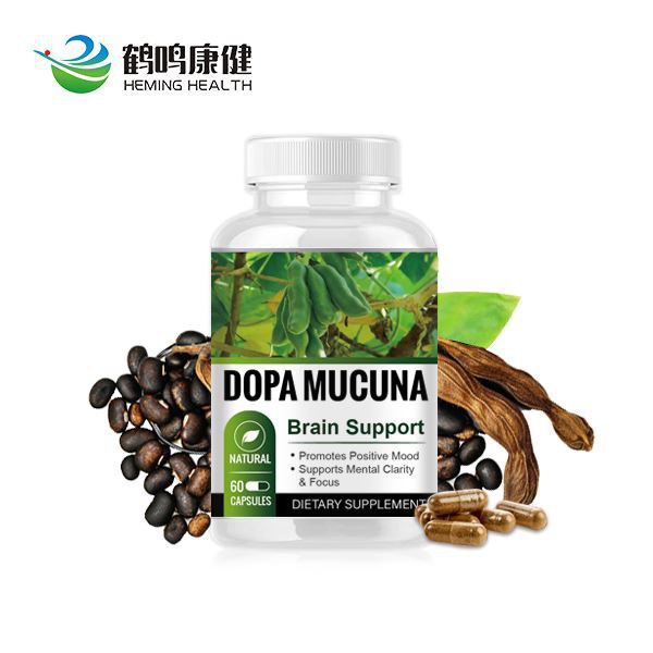 Dopa Mucuna Brain Support