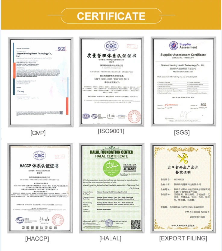 Certification Certification