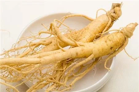 Ginseng Ginseng